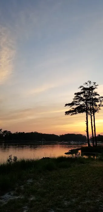 Angola By the Bay Association Picture 3