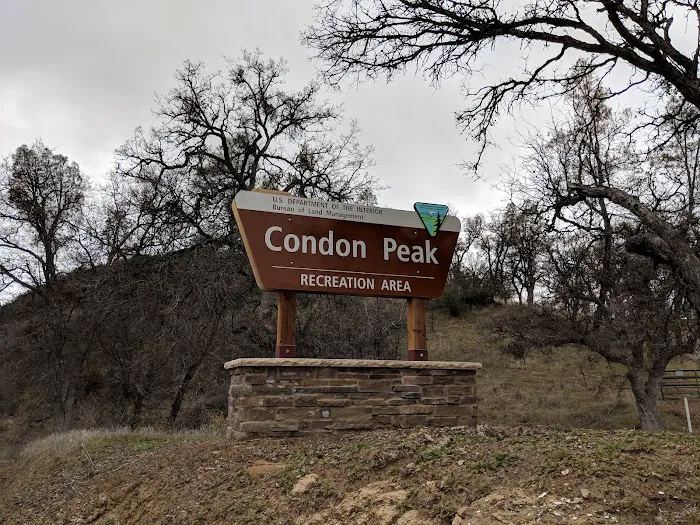 Condon Peak Recreation Area Picture 10
