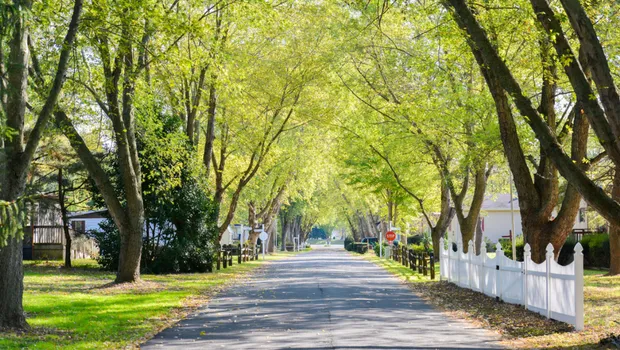 Angola Beach and Estates Picture 5