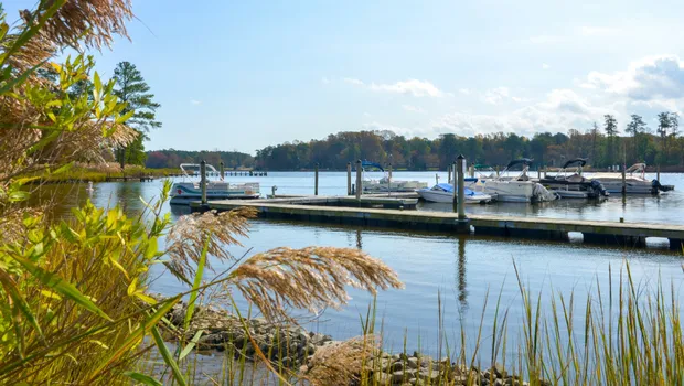 Angola Beach and Estates Picture 9