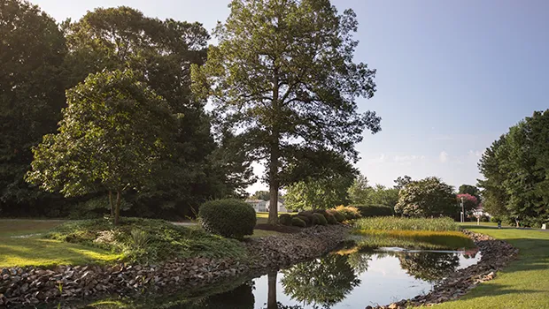 Angola Beach and Estates Picture 7