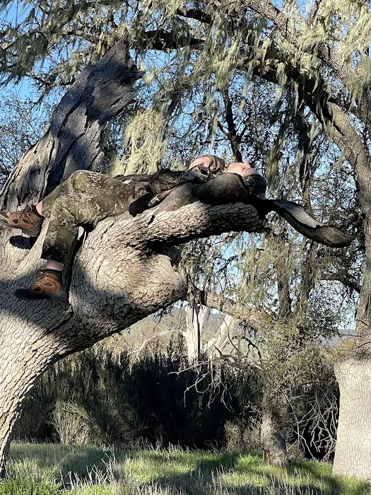 Fort Hunter Liggett Campground Picture 9