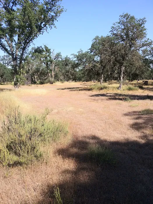 Fort Hunter Liggett Campground Picture 6