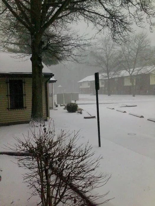 Mobile Gardens Manufactured Home Community Picture 2