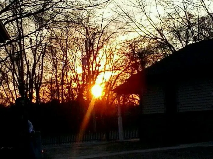 Mobile Gardens Manufactured Home Community Picture 5