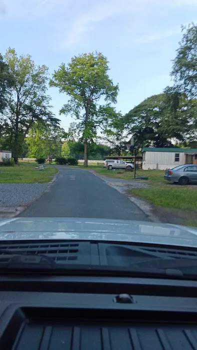 Pine Ridge Park MHP Picture 8