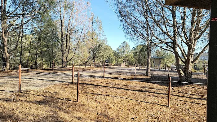 Williams Hill Campground Picture 3