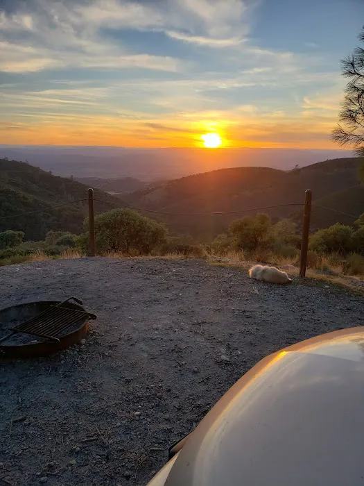 Williams Hill Campground Picture 4