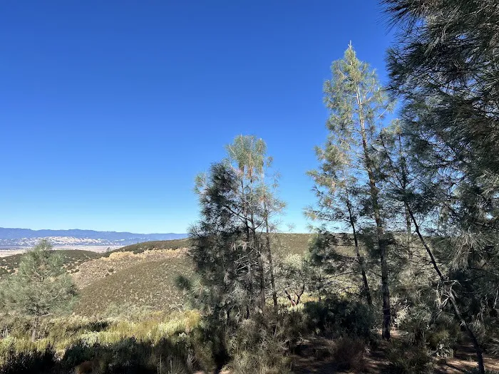 Williams Hill Campground Picture 1