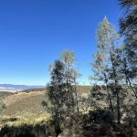 Williams Hill Campground