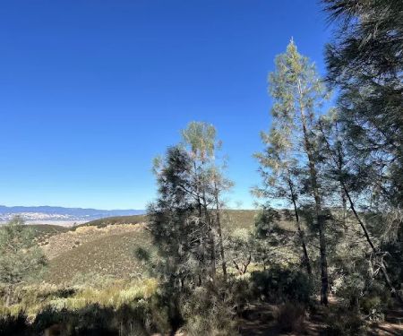 Williams Hill Campground