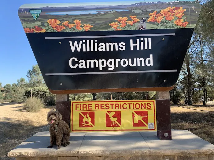 Williams Hill Campground Picture 6