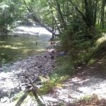 Arroyo Seco Campground