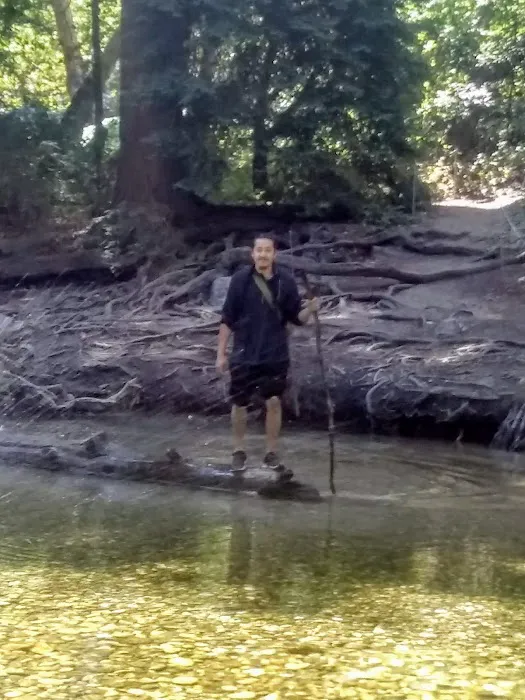 Arroyo Seco Campground Picture 3