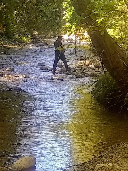 Arroyo Seco Campground Picture 2