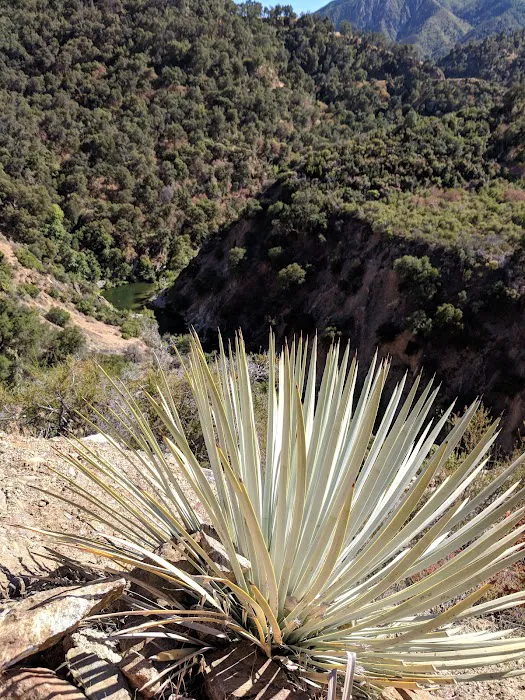 Arroyo Seco Campground Picture 7