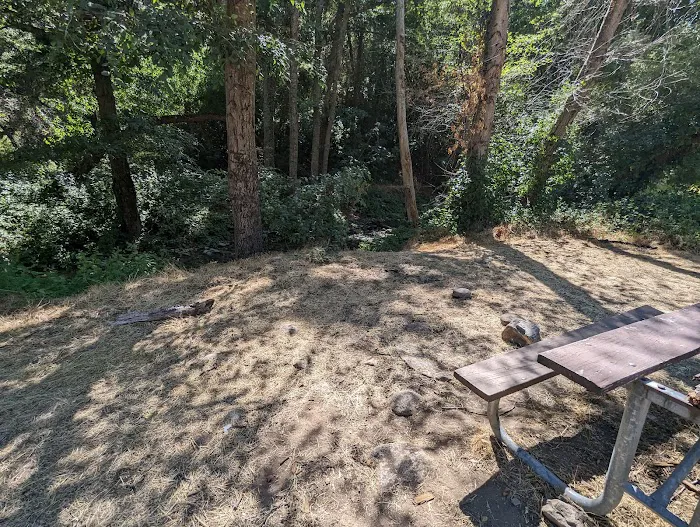 Lower Piney Creek Campground Picture 2