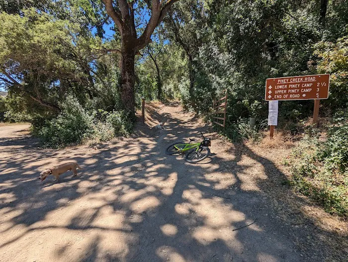 Lower Piney Creek Campground Picture 5