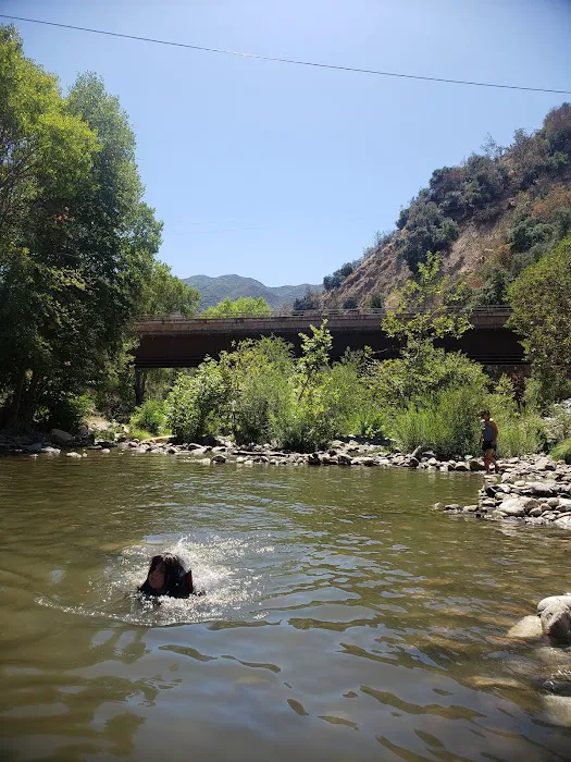 Arroyo Seco Campground Picture 5