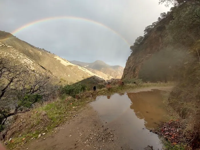 Arroyo Seco Campground Picture 4