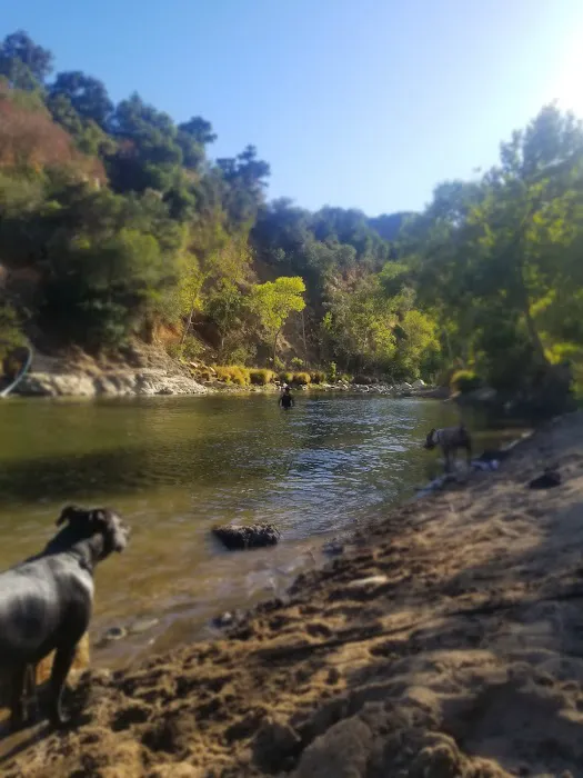 Arroyo Seco Campground Picture 9