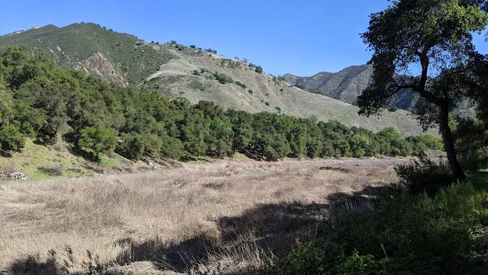 Arroyo Seco Group Campground Picture 4