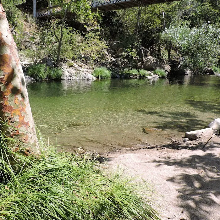 Arroyo Seco Group Campground Picture 9