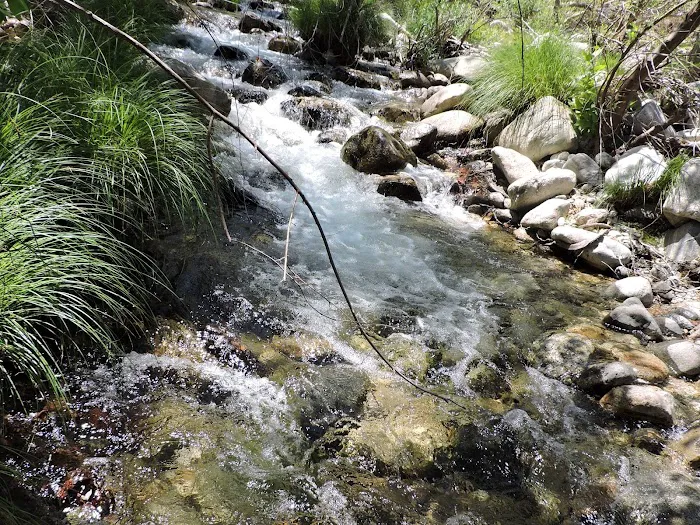 Arroyo Seco Group Campground Picture 8