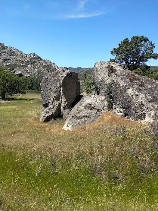 Memorial Park Campground Picture 1