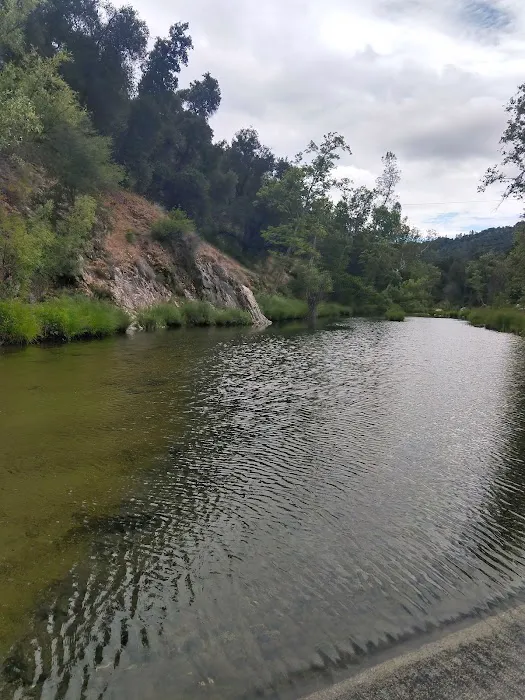 Memorial Park Campground Picture 4
