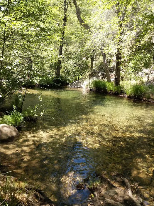 Memorial Park Campground Picture 8