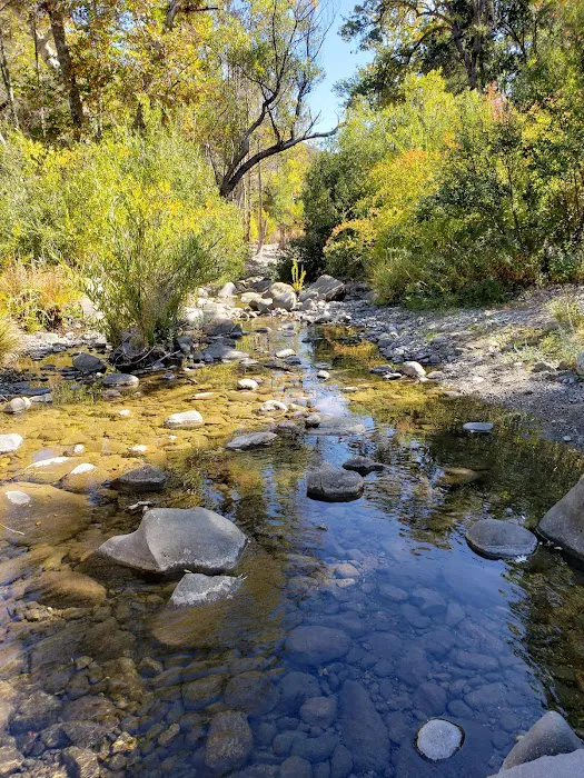 Ponderosa Campground Picture 6