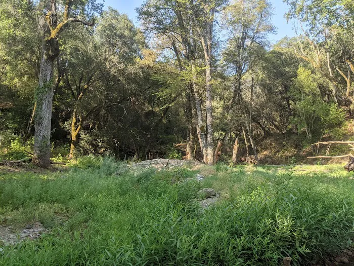 Ponderosa Campground Picture 5