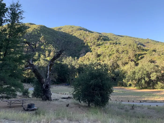 Ponderosa Campground Picture 9