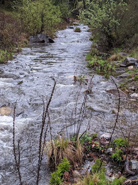 Ponderosa Campground Picture 8