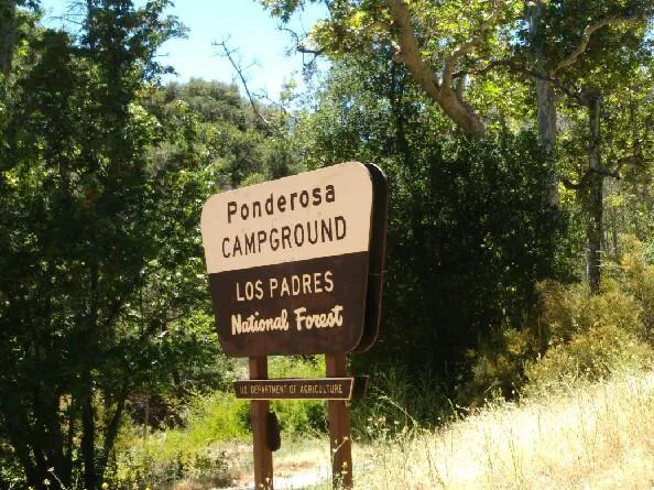 Ponderosa Campground Picture 10