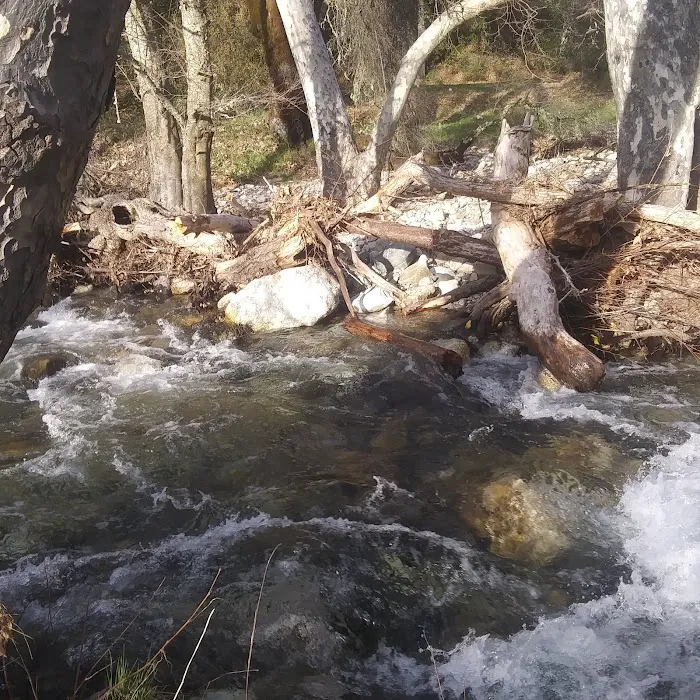 Ponderosa Campground Picture 7