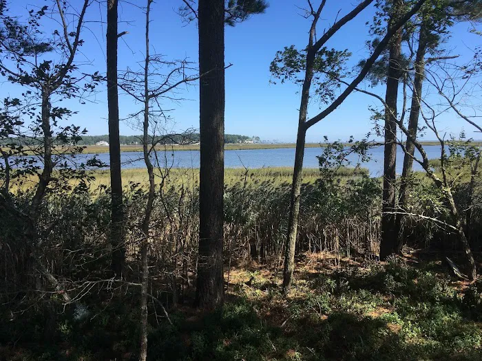 Lighthouse Beach RV Resort Picture 2