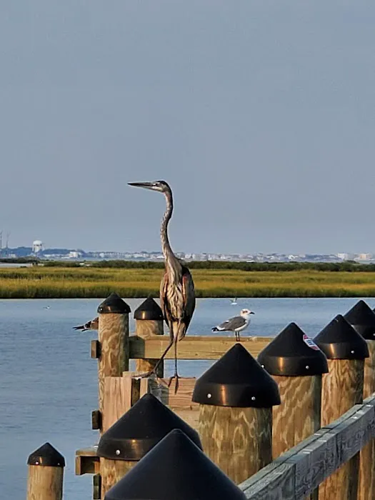 Lighthouse Beach RV Resort Picture 9