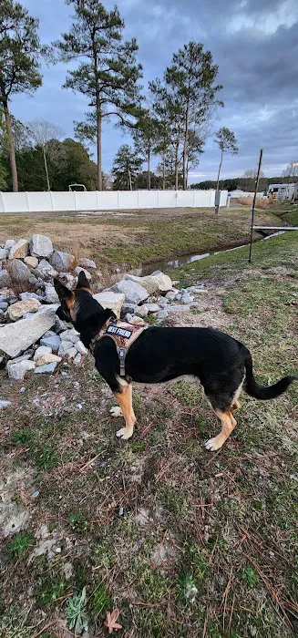 Lighthouse Beach RV Resort Picture 10