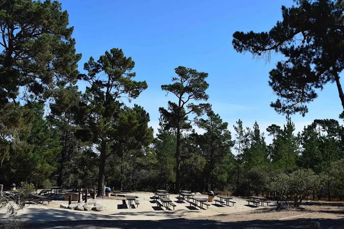 Monterey Veterans Memorial Park Picture 1