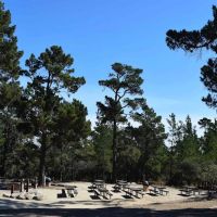Monterey Veterans Memorial Park ico