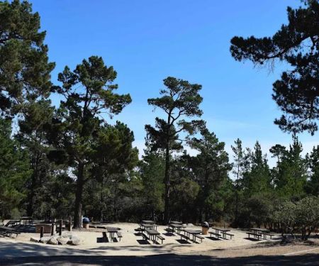 Monterey Veterans Memorial Park