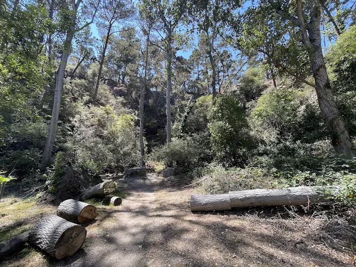 Monterey Veterans Memorial Park Picture 6
