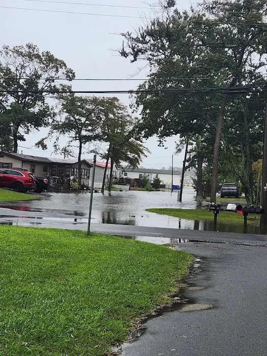 Bay City Mobile Home Park Picture 3