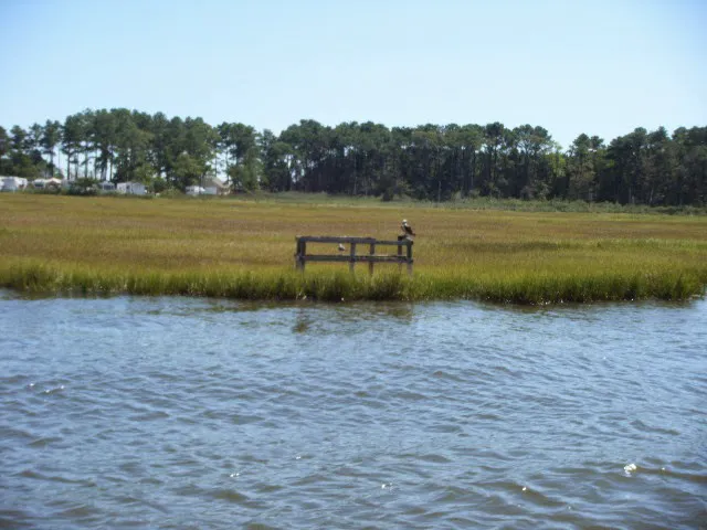 Mariner's Cove Picture 5