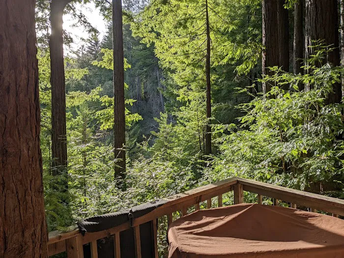 Serenity Cabin Picture 2