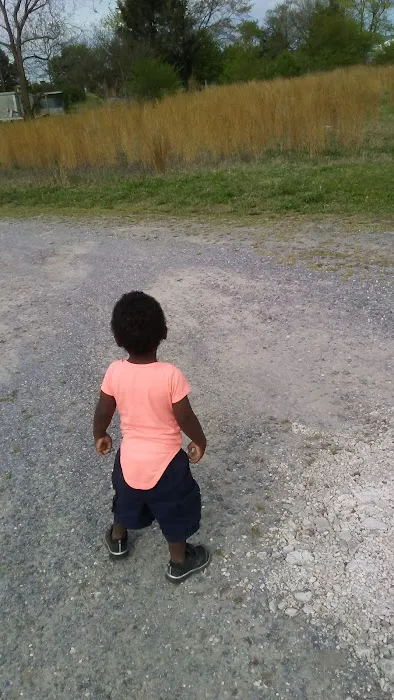 Briarwood Manufactured Home Community Picture 4