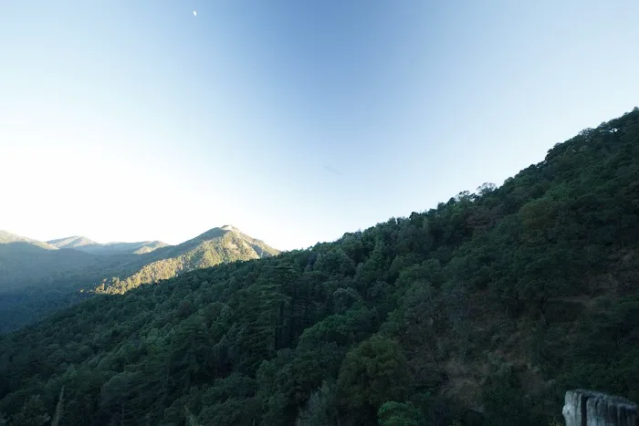 Bottchers Gap Campground Picture 9