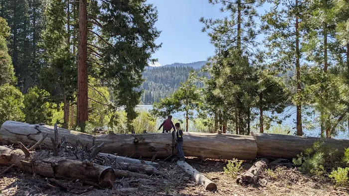 Hume Lake Campground Picture 4